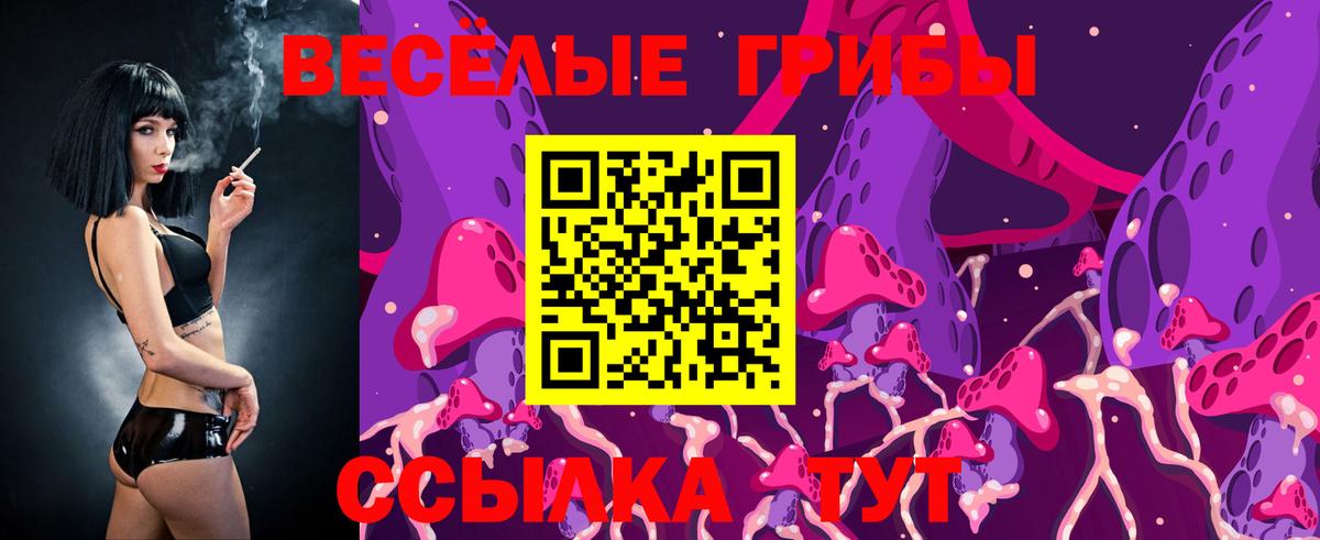 Галлюциногенные грибы прущие грибы  Вход с VPN  Куйбышев 